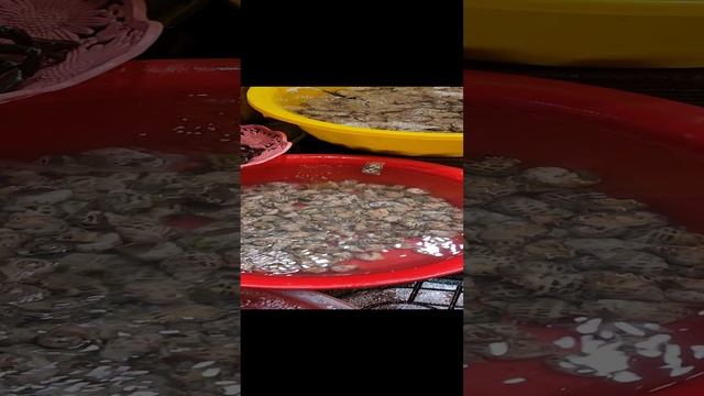 Нячанг, морепродукты, рестораны.