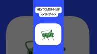 неугомонный кузнечик музыкальное видео 2024 анимация