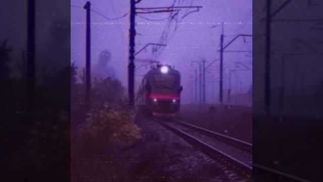adult children - sotyashi
