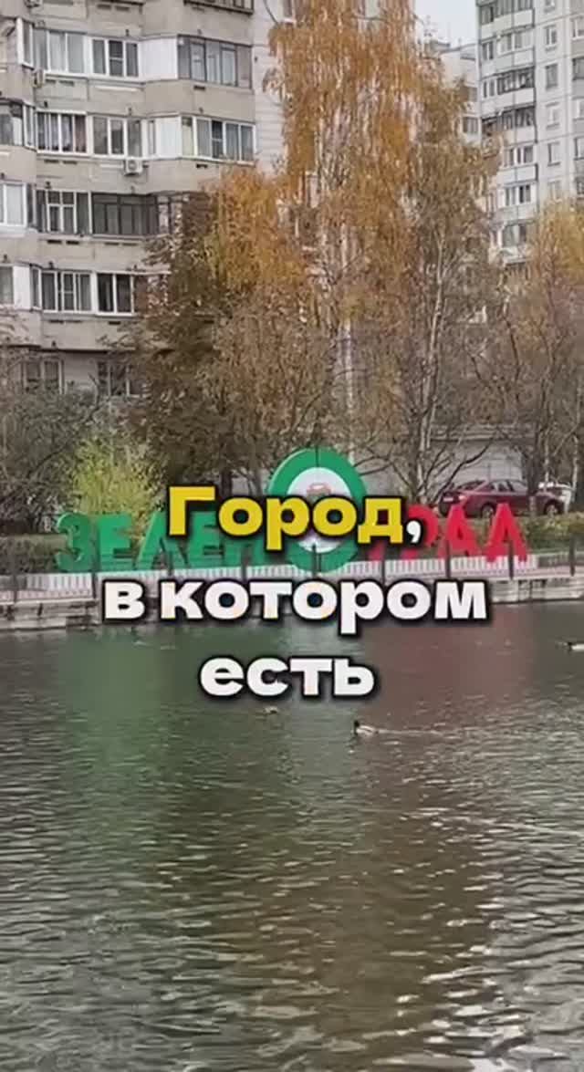 Город, в котором есть ВСЁ!