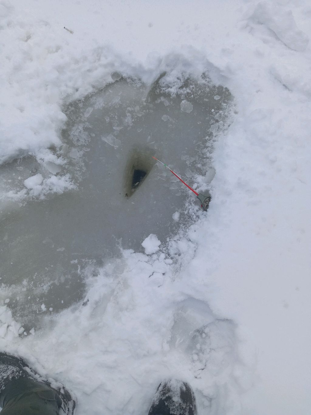 Ливим живца