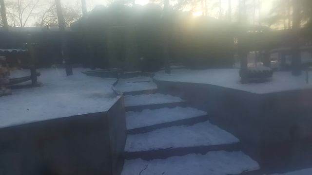 поздравляю с двухлетним днём рождения наших краасавиц белых медвежат белку и стрелку 16-12-2024