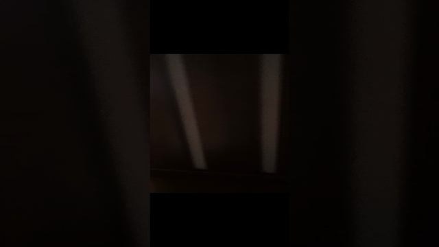 1000567051.mp4. Авито 1к Ленина 14