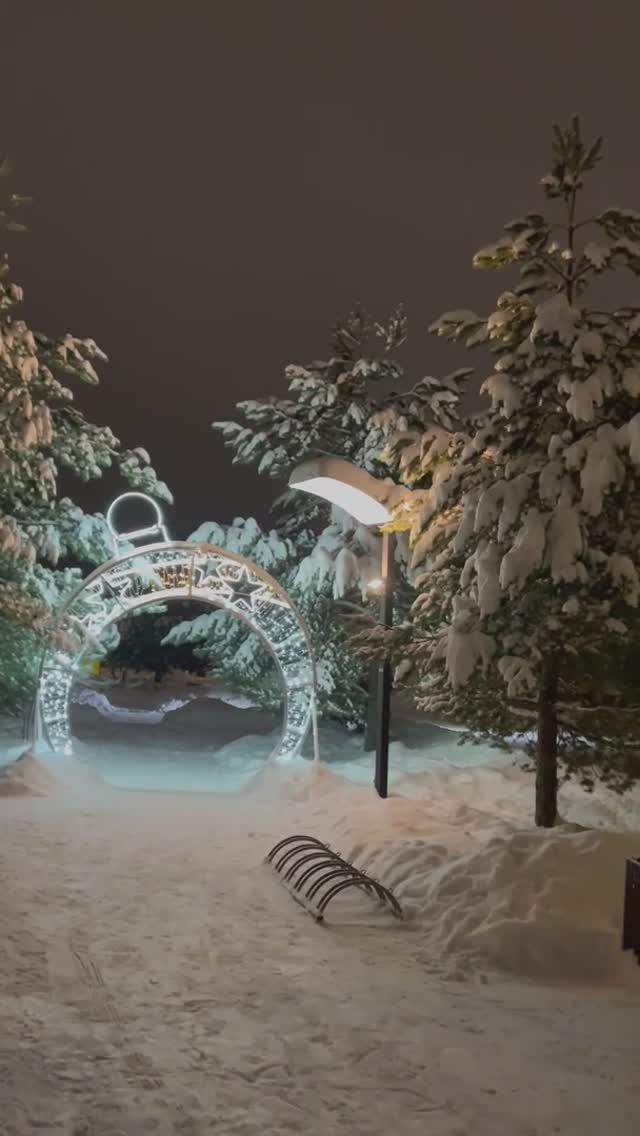 Декабрь 2024
