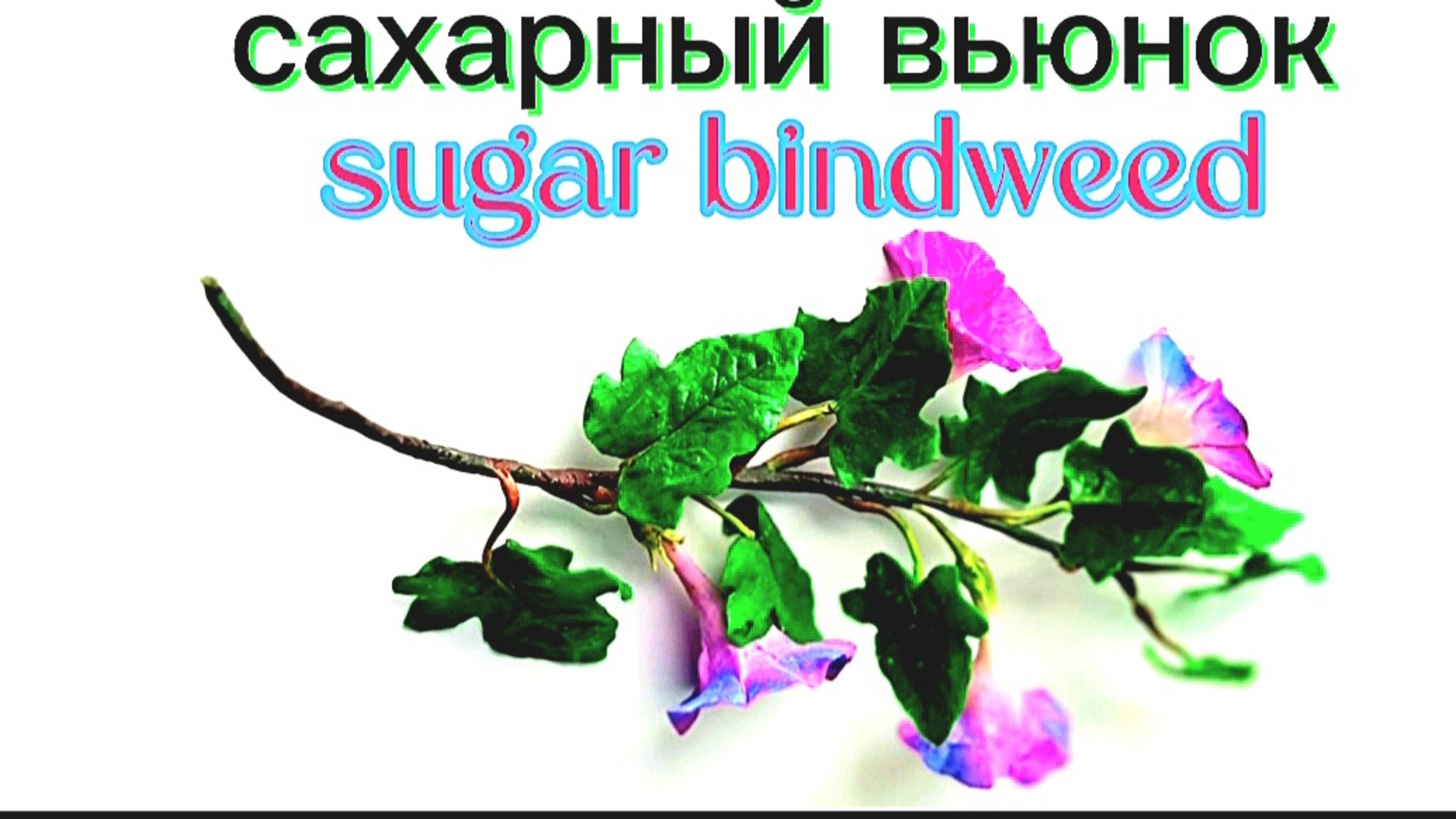 Как сделать вьюн из мастики/Sugar bindweed