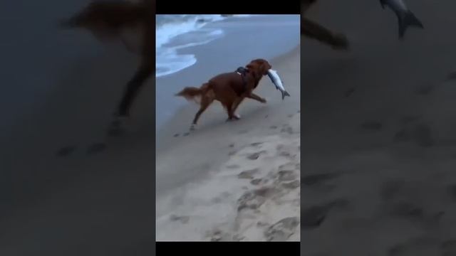 1000012995.mp4