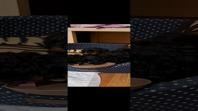 20241216_083903