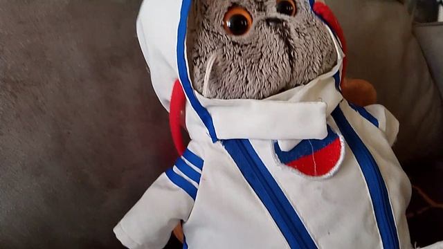 басики запутались сколько им лет