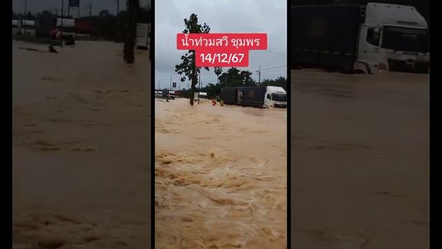 Обрушение ледника Перито-Морено в аргентинском национальном парке Лос-Гласьярес, 24 ноября 2024.