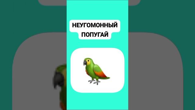 неугомонный попугай музыкальное видео 2024 анимация  (не блокировать канал пж!)