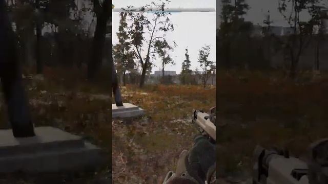 #stalker2дуга #дугасталкер