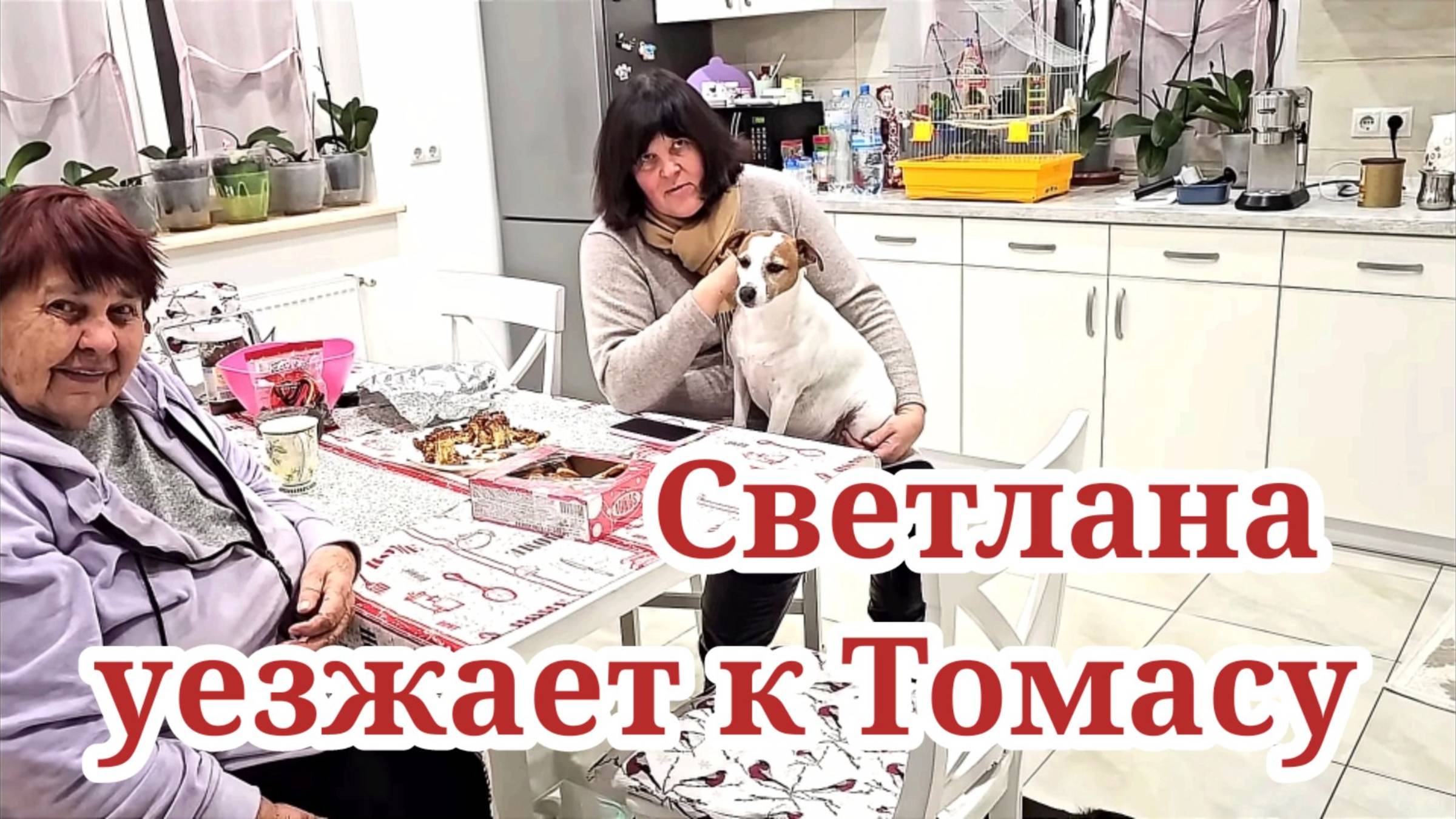 Светлана уезжает - лучший кофе в дорогу