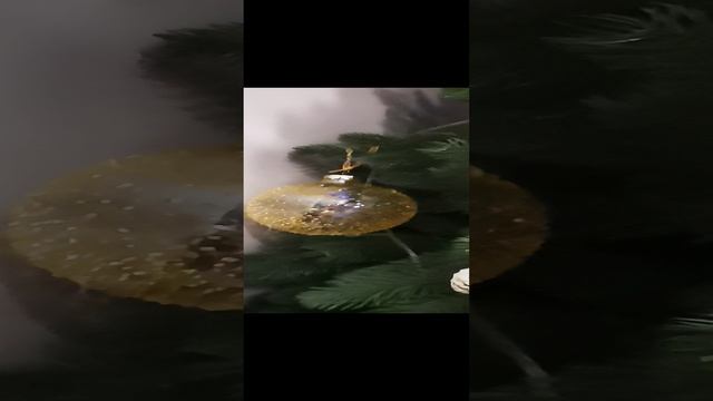VID_20241213_110219.mp4
