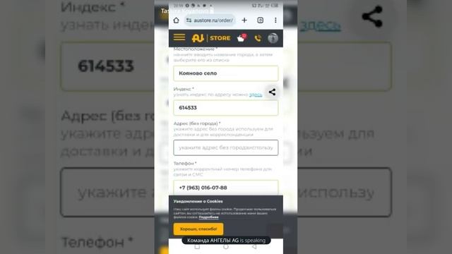 делаем заказ с интернет магазина Au store.mp4
