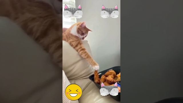 Украл как бы нечайно