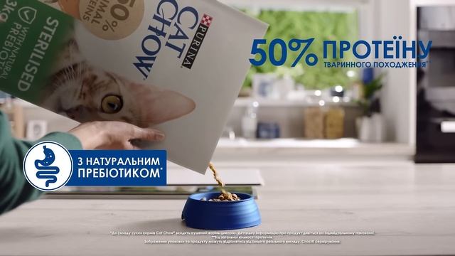 Cat Chow® - Допомагає оберігати вашого улюбленця!