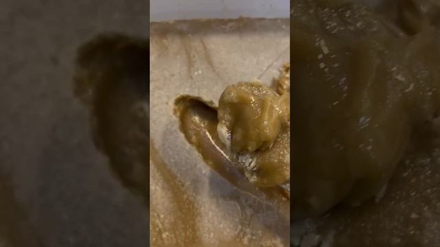 VID-20241216-WA0030