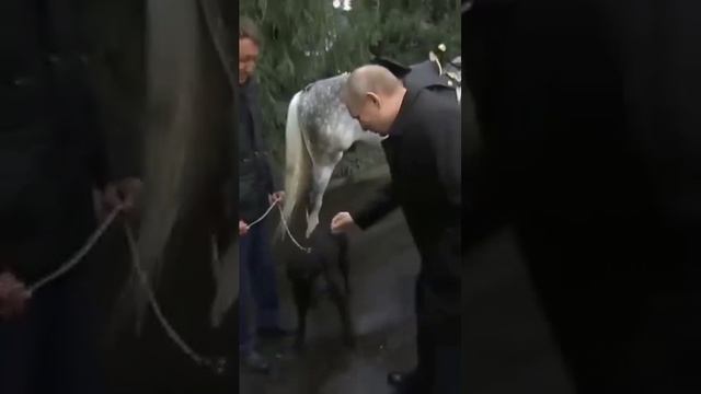 ЛЮБЛЮ ПУТИНА