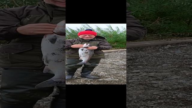 Первый камчатский трофей!