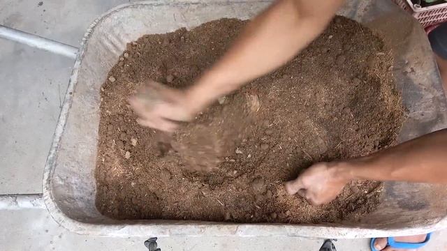 Клубника посадка выращивание сбор