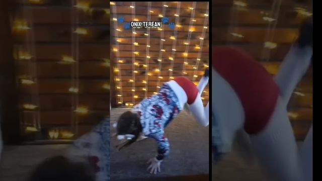 квадробика квадропика