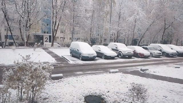VID_20241104_083453.mp4