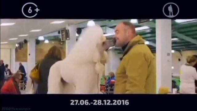 Галилей: История заставок передач. 2 выпуск - Планета собак