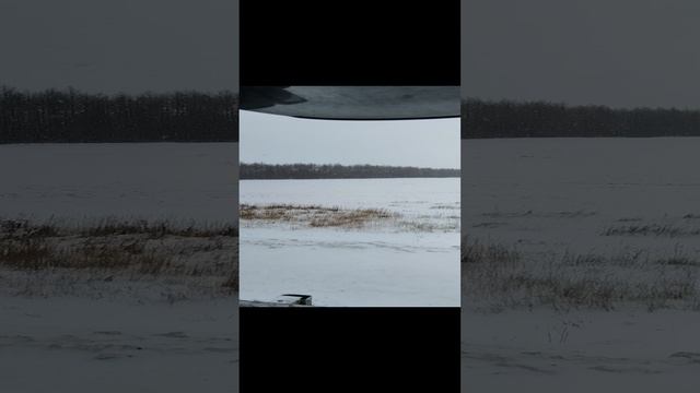 Дальнобойщик, и великий нытик на релаксе.