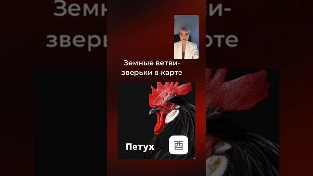 Марафон про бацзы, день Второй