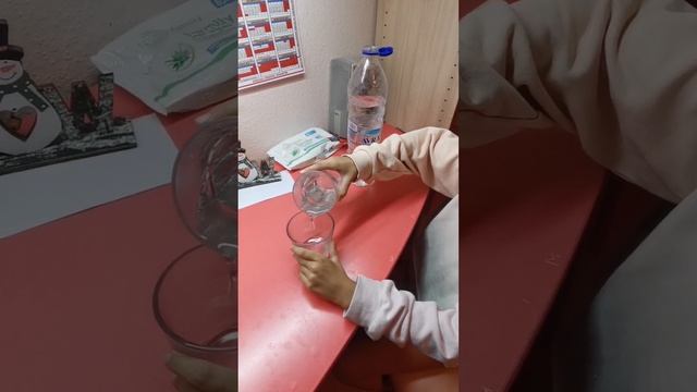 petal_20241216_181949.mp4