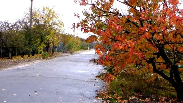 17-й выпуск фотослайдшоу МОЯ РОДИНА.