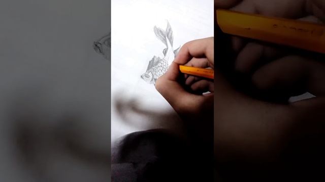 Рисовалка. Рисуем рыбку