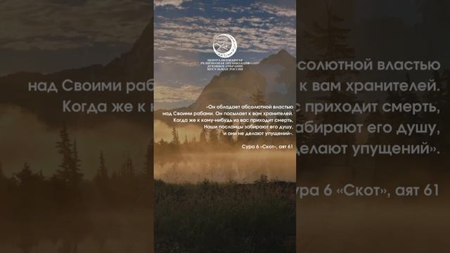 Аят #shorts