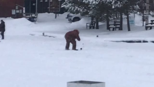 Поимка форели