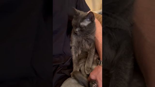 Красавица Бетти !