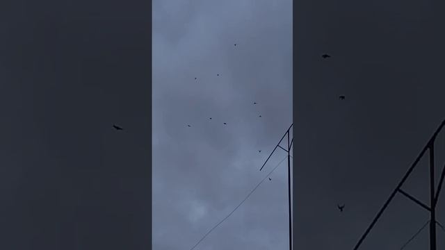 с Кагальник