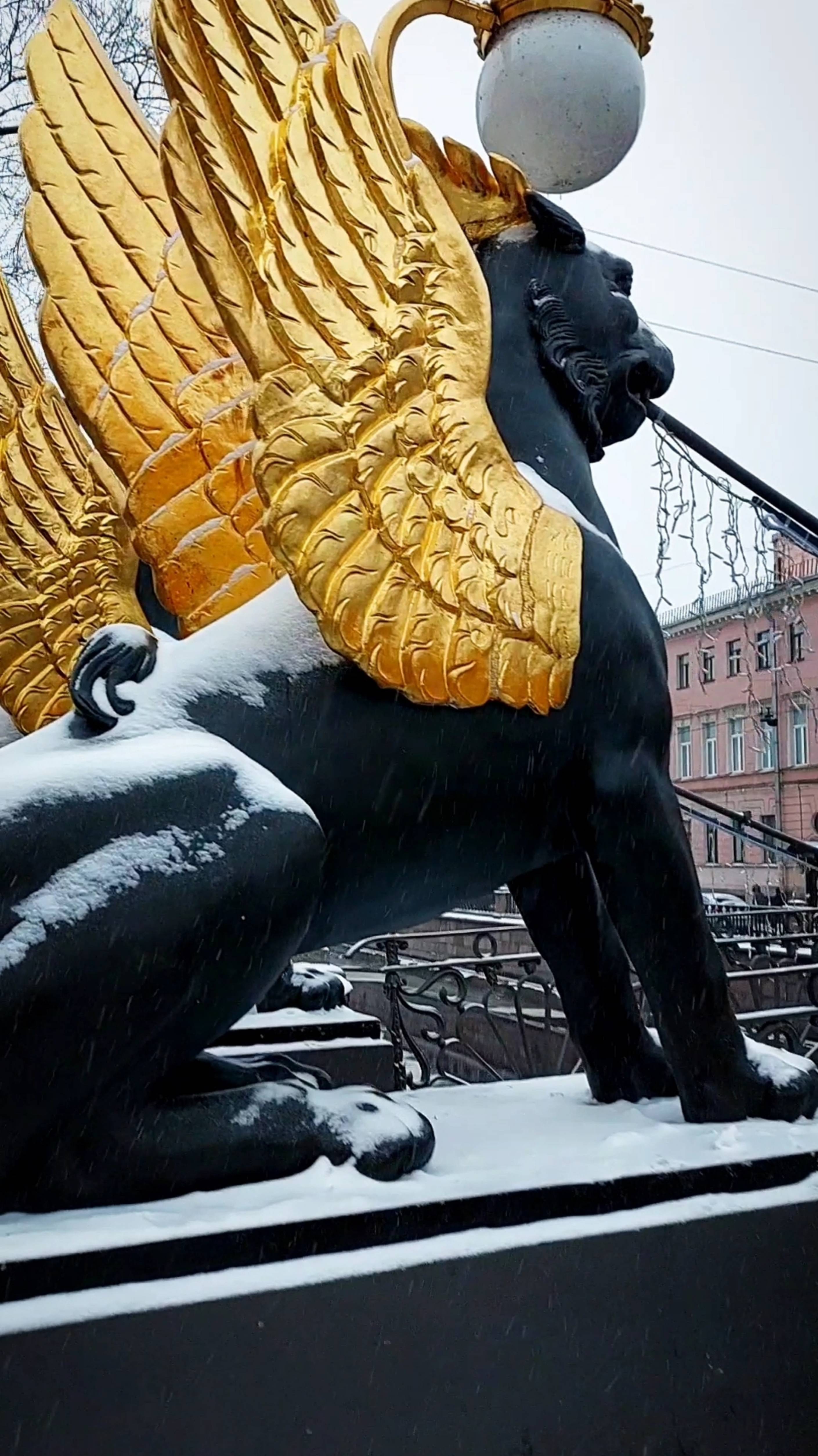 В Петербурге завьюжило к Новому году. Снег, как по расписанию☝️#петербург #зима