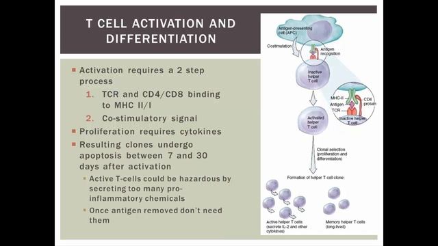 Cell Mediated Response