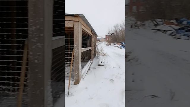 ЗИМА ПРИШЛА)