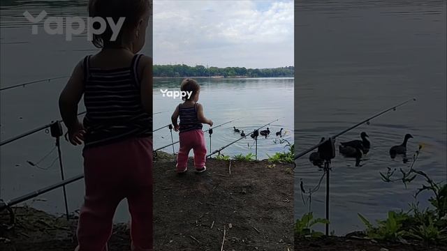 Красота))