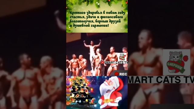 Рыжуля желает Всем в Наступающем Новом году Крепкого Здоровья и всего остального Самого Лучшего 🎄🎅