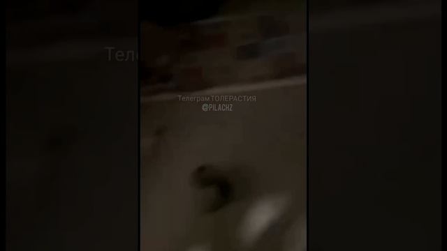 накрыли трудолюбивых иностранцев из ближнего зарубежья !!!