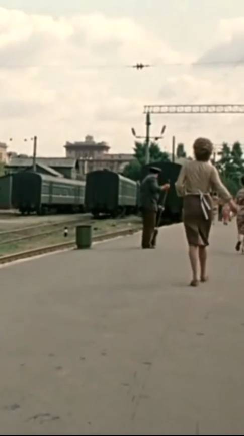 #shorts  Стерва
