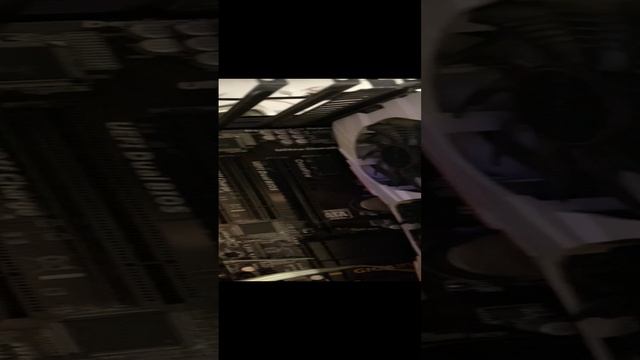 Авито 1080 Ti