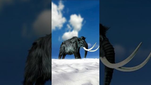 5 facts about mammoth that you don't know