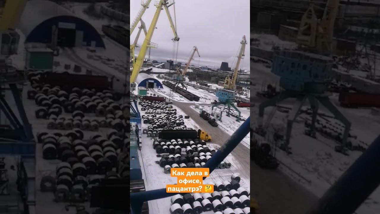 #рекомендации #тренды #юмор