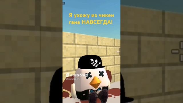 Последние видео по чикен гану!