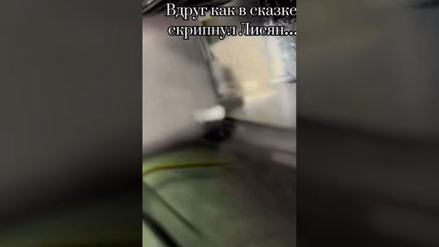 Да этим ручкам я вообще не доверяю, ни на каких брендах LI9.