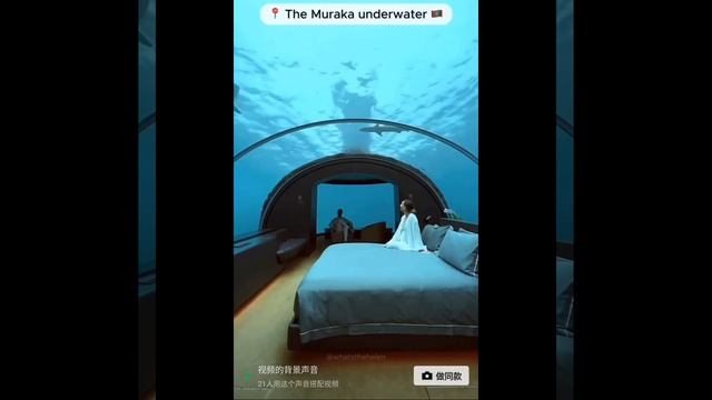 Товары Китая