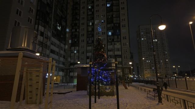 Новогодняя Ёлка на Мерлушкина 6-8 2024-2025
